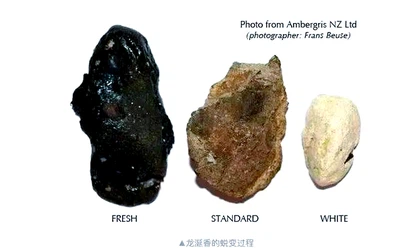 info-640-396 info-640-396