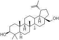 product-190-129 product-190-129