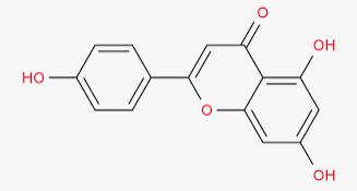 Apigenin powder