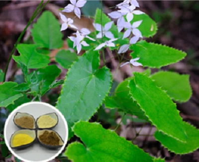 product-383-313 product-383-313