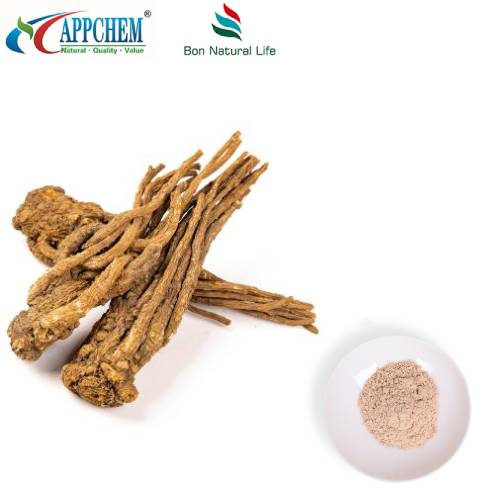 Angelica Sinensis ekstrakto milteliai