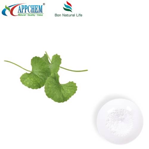 Centella Asiatica ekstrakto milteliai