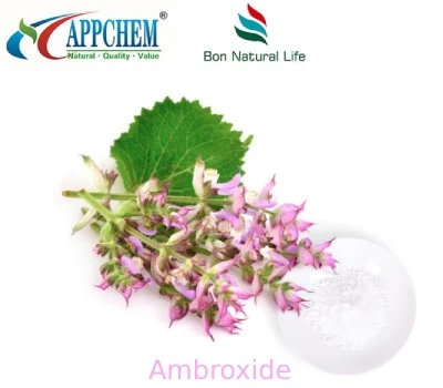 info-400-350