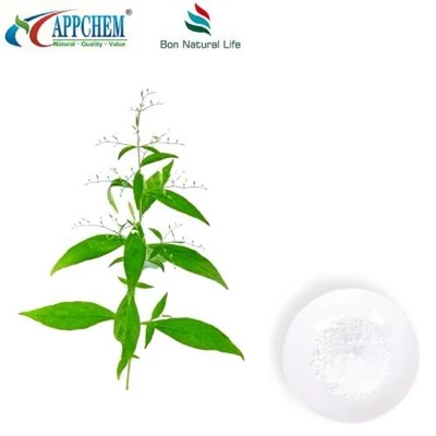 Andrographis Paniculata ekstraktas andrografolidas