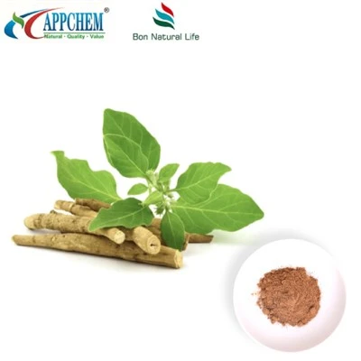 Ashwagandha ekstrakto milteliai (withanolides) Gamyba 30655-48-2