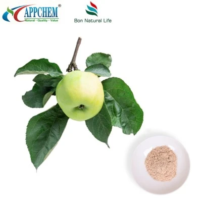 Kosmetikos ingredientai Phloretin 60-82-2